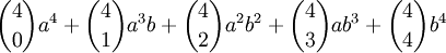 \binom 40 a^4+\binom 41 a^3b+\binom 42 a^2b^2+\binom 43 ab^3+\binom 44 b^4